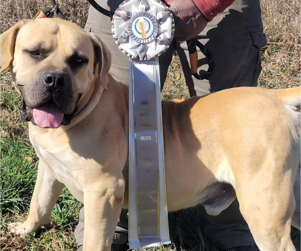 Medium Photo #1  Breeder Profile in BELLEVUE, NE, USA