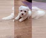 Small #1 Breeder Profile image