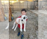 Small #3 Breeder Profile image