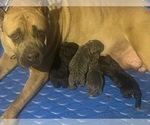 Small #5 Breeder Profile image