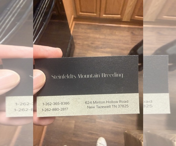 Medium Photo #1  Breeder Profile in NEW TAZEWELL, TN, USA