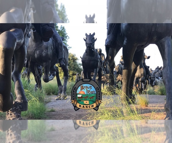 Medium Photo #1  Breeder Profile in GUTHRIE, OK, USA
