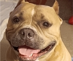 Small #2 Breeder Profile image