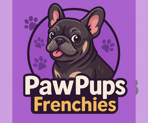 French Bulldog Dog Breeder near LAWRENCEVILLE, GA, USA