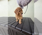 Small #11 Breeder Profile image
