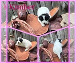 Small #5 Breeder Profile image