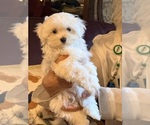 Small #4 Breeder Profile image