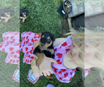 Small #4 Breeder Profile image