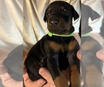 Small #3 Breeder Profile image
