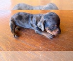 Small #5 Breeder Profile image