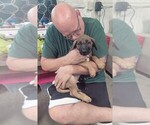 Small #14 Breeder Profile image