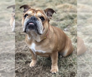 Medium Breeder Profile Photo