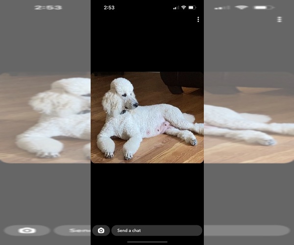 Medium Photo #1  Breeder Profile in GARDEN CITY, KS, USA