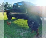 Small #2 Breeder Profile image