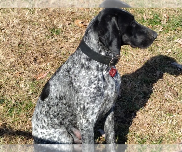Medium Photo #1  Breeder Profile in BALTIMORE, MD, USA