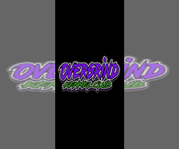 Medium Photo #1  Breeder Profile in DECATUR, GA, USA
