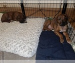 Small #23 Breeder Profile image