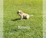 Small #2 Breeder Profile image