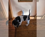 Small #2 Breeder Profile image