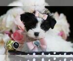 Small #7 Breeder Profile image