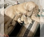 Small #8 Breeder Profile image