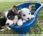 Small #23 Breeder Profile image