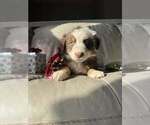 Small #47 Breeder Profile image