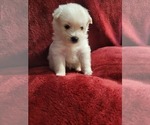 Small #75 Breeder Profile image