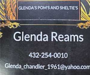Pomeranian Dog Breeder near ODESSA, TX, USA
