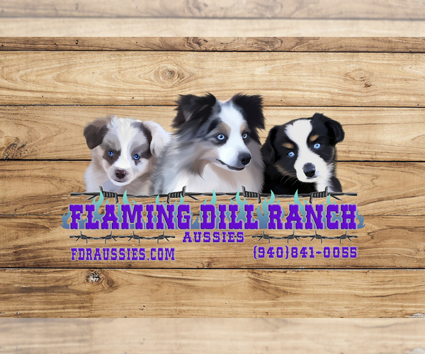 Medium Photo #1  Breeder Profile in FORESTBURG, TX, USA