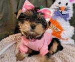 Small #14 Breeder Profile image