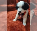 Small #24 Breeder Profile image