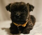 Small #7 Breeder Profile image