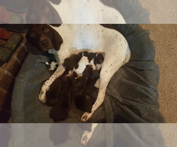 Medium Photo #1  Breeder Profile in BAYTOWN, TX, USA