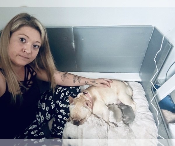 Medium Photo #9  Breeder Profile in BIG RAPIDS, MI, USA