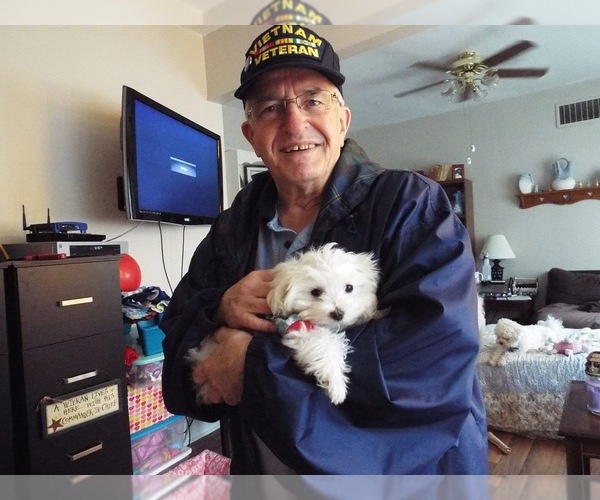 Medium Photo #7  Breeder Profile in PICKFORD, MI, USA