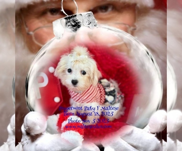 Medium Photo #1  Breeder Profile in SILVERHILL, AL, USA