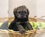Small #5 Breeder Profile image