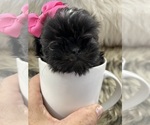 Small #5 Breeder Profile image