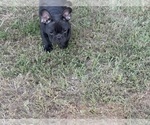 Small #14 Breeder Profile image