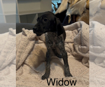 Small #5 Breeder Profile image