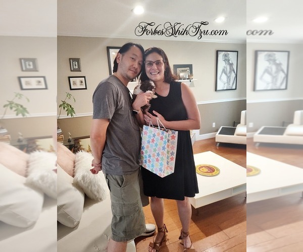 Medium Photo #6  Breeder Profile in OCALA, FL, USA