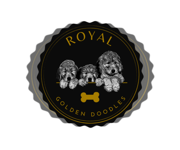 Medium Photo #1  Breeder Profile in OKLAHOMA CITY, OK, USA