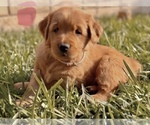 Small #2 Breeder Profile image