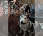 Small #11 Breeder Profile image