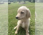 Small #6 Breeder Profile image