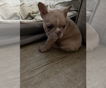 Small #5 Breeder Profile image