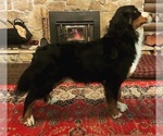 Small #10 Breeder Profile image
