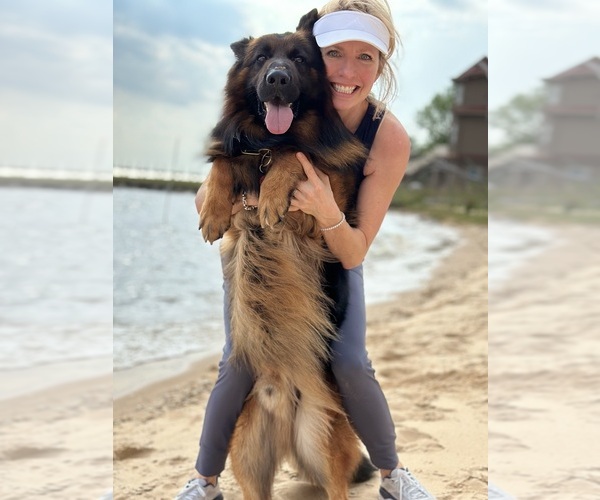 Medium Photo #7  Breeder Profile in COVINGTON, LA, USA