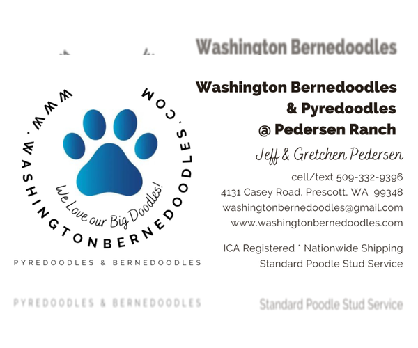 Medium Photo #3  Breeder Profile in PRESCOTT, WA, USA